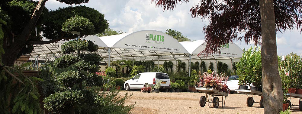 Europlants UK Ltd